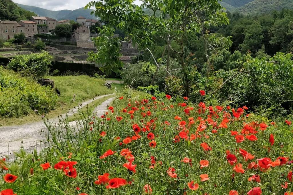 Maisonette En Cevennes Notre-Dame-de-la-Rouvière Εξωτερικό φωτογραφία